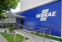 Sebrae seleciona para cargos de analistas e trainee com salários de até R$ 11,5 mil; veja como se inscrever