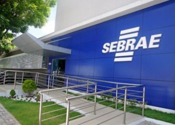 Sebrae seleciona para cargos de analistas e trainee com salários de até R$ 11,5 mil; veja como se inscrever