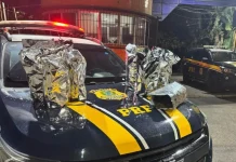 Casal é preso com mais de 10 kg de maconha na BR-230