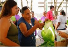 Secretaria de Agricultura de CG realizará II Feira Raízes Femininas dos Distritos de Campina