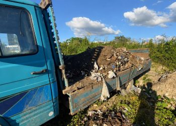 Prefeitura intensifica fiscalização contra descarte irregular de lixo e efetua apreensões em Campina Grande